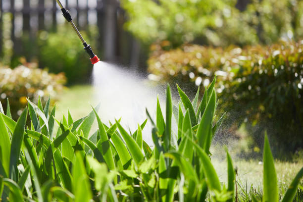 24/7 Emergency Termite Control experts in Rodeo, CA